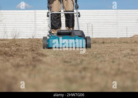Der Mensch-Gärtner, der Rasen mit einem Vertikutierer erscharft, erscharft den Rasen und entfernt altes Gras Stockfoto