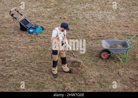 Der Mensch-Gärtner, der den Rasen mit Rechen und Schreckgespenst erschreckt, schreckt den Rasen und entfernt altes Gras Stockfoto
