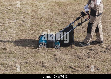 Der Mensch-Gärtner, der Rasen mit einem Vertikutierer erscharft, erscharft den Rasen und entfernt altes Gras Stockfoto