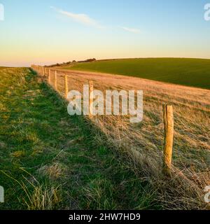 Ein Drahtzaun mit hölzernen Zaunmasten trennt South Downs Way und Weiden bei Abendsonne in der Nähe von Ditchling Beacon in East Sussex, England. Stockfoto