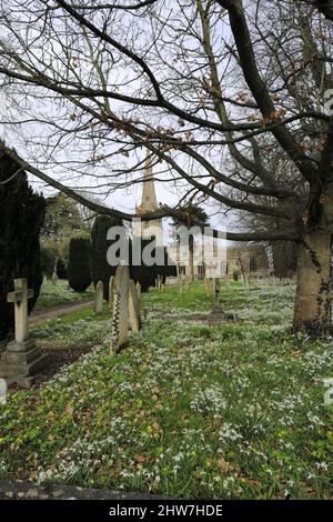 Schneeglöckchen und Aconite Blumen in der St. Michael and All Angels Kirche, Uffington Dorf, Lincolnshire, England, Großbritannien Stockfoto