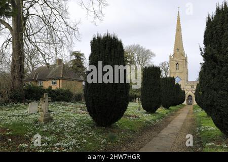 Schneeglöckchen und Aconite Blumen in der St. Michael and All Angels Kirche, Uffington Dorf, Lincolnshire, England, Großbritannien Stockfoto