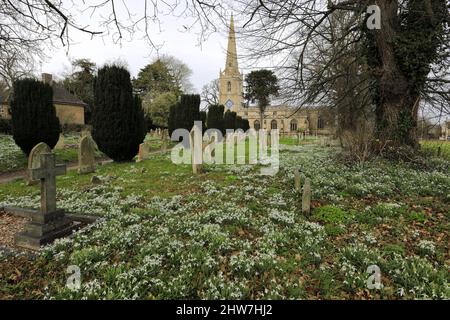 Schneeglöckchen und Aconite Blumen in der St. Michael and All Angels Kirche, Uffington Dorf, Lincolnshire, England, Großbritannien Stockfoto