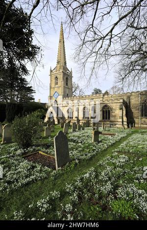Schneeglöckchen und Aconite Blumen in der St. Michael and All Angels Kirche, Uffington Dorf, Lincolnshire, England, Großbritannien Stockfoto