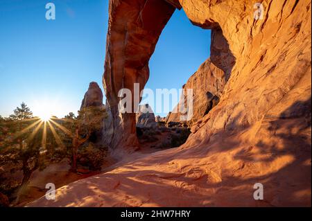 Sonnenschein am Pine Tree Arch im Arches National Park Stockfoto