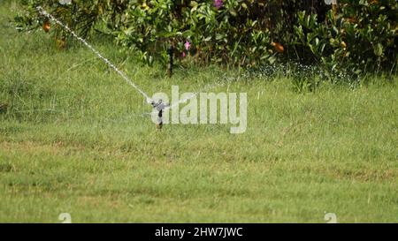 Wassersprühgerät Wasser wird gesprüht. Auf unscharfen Hintergründen Stockfoto