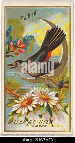 Art Inspired by Catbird, from the Birds of America Series (N4) for Allen & Ginter Cigarettes Brands, 1888, kommerzielle Farblithographie, Blatt: 2 3/4 x 1 1/2 Zoll (7 x 3,8 cm), Trade Cards aus der Serie „Birds of America“ (N4), die 1888 in einer Serie von 50 Karten zur Förderung von Allen herausgegeben wurde, Classic Works, die von Artotop mit einem Schuss Moderne modernisiert wurden. Formen, Farbe und Wert, auffällige visuelle Wirkung auf Kunst. Emotionen durch Freiheit von Kunstwerken auf zeitgemäße Weise. Eine zeitlose Botschaft, die eine wild kreative neue Richtung verfolgt. Künstler, die sich dem digitalen Medium zuwenden und die Artotop NFT erschaffen Stockfoto