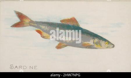 Art Inspired by Sardine, from the Fish from American Waters series (N8) for Allen & Ginter Cigarettes Brands, 1889, kommerzielle Farblithographie, Blatt: 1 1/2 x 2 3/4 Zoll (3,8 x 7 cm), Trade Cards aus der Serie 'Fish from American Waters' (N8), die 1889 in einer Serie von 50 Karten herausgegeben wurde, Classic Works, modernisiert von Artotop mit einem Schuss Moderne. Formen, Farbe und Wert, auffällige visuelle Wirkung auf Kunst. Emotionen durch Freiheit von Kunstwerken auf zeitgemäße Weise. Eine zeitlose Botschaft, die eine wild kreative neue Richtung verfolgt. Künstler, die sich dem digitalen Medium zuwenden und die Artotop NFT erschaffen Stockfoto