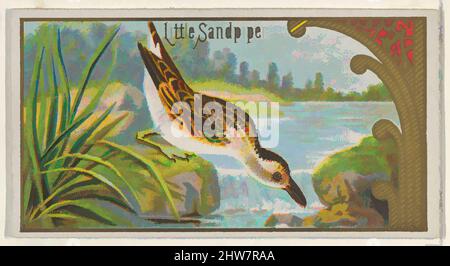 Art inspired by Little Sandpiper, from the Game Birds Series (N13) for Allen & Ginter Cigarettes Brands, 1889, kommerzielle Farblithographie, Blatt: 1 1/2 x 2 3/4 Zoll (3,8 x 7 cm), Trade Cards aus der „Game Birds“-Serie (N13), die 1889 in einem Satz von 50 Karten zur Förderung von Allen herausgegeben wurde, Classic Works, die von Artotop mit einem Schuss Modernität modernisiert wurden. Formen, Farbe und Wert, auffällige visuelle Wirkung auf Kunst. Emotionen durch Freiheit von Kunstwerken auf zeitgemäße Weise. Eine zeitlose Botschaft, die eine wild kreative neue Richtung verfolgt. Künstler, die sich dem digitalen Medium zuwenden und die Artotop NFT erschaffen Stockfoto