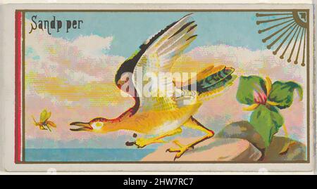 Art Inspired by Sandpiper, from the Game Birds Series (N13) for Allen & Ginter Cigarettes Brands, 1889, kommerzielle Farblithographie, Blatt: 1 1/2 x 2 3/4 Zoll (3,8 x 7 cm), Trade Cards aus der „Game Birds“-Serie (N13), die 1889 in einem Satz von 50 Karten zur Förderung von Allen & Ginter herausgegeben wurde, Classic Works, die von Artotop mit einem Schuss Moderne modernisiert wurden. Formen, Farbe und Wert, auffällige visuelle Wirkung auf Kunst. Emotionen durch Freiheit von Kunstwerken auf zeitgemäße Weise. Eine zeitlose Botschaft, die eine wild kreative neue Richtung verfolgt. Künstler, die sich dem digitalen Medium zuwenden und die Artotop NFT erschaffen Stockfoto