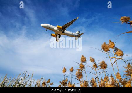 Ein Flugzeug fliegt über dem Baix Llobregat Agrarpark.das Projekt, eine der Start- und Landebahnen des Flughafens Josep Tarradellas zu erweitern, im Volksmund Stockfoto