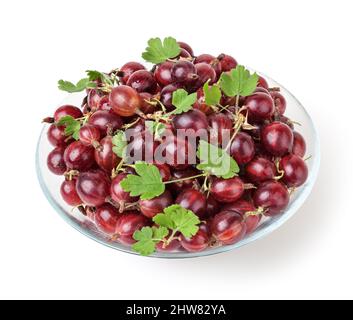 Rote Stachelbeeren mit grünen Blättern in Glasschale isoliert auf weißem Hintergrund mit Schneideweg Stockfoto