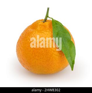 Auf weißem Hintergrund isolierte Mandarine mit Beschneidungspfad Stockfoto