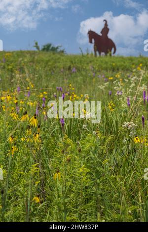 Indian Brave Sculpture in Prarie Grassland and Wildflowers, Missouri Welcome Center, Highway I-35. Stockfoto