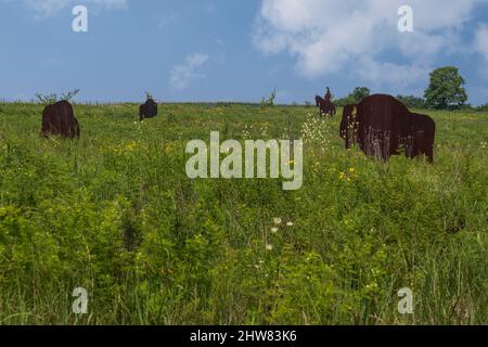 Buffalo and Indian Brave Sculpture in Prarie Grassland, Missouri Welcome Center, Highway I-35. Stockfoto