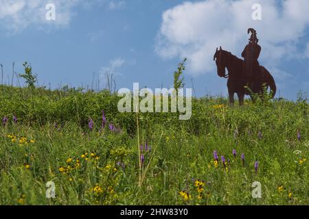 Indian Brave Sculpture in Prarie Grassland and Wildflowers, Missouri Welcome Center, Highway I-35. Stockfoto