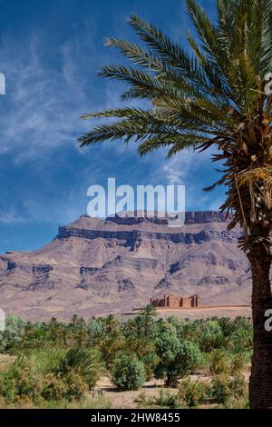 Draa River Valley Szene, Marokko.  Ksar (Kasbah) Tamnougalt, in der Nähe von Agdz. Stockfoto