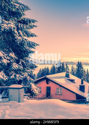 Winterurlaub in Europa. Haus im Wald. Schneeverwehungen auf dem Weihnachtsbaum. Winterwald und Berge. Schweiz. Stockfoto