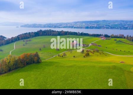 Schweiz Luftbild. Ländliche Landschaft mit Kühen Stockfoto