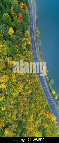 Die Straße entlang des Sees. Wald. Luftaufnahme. Vertikales Panorama. Stockfoto
