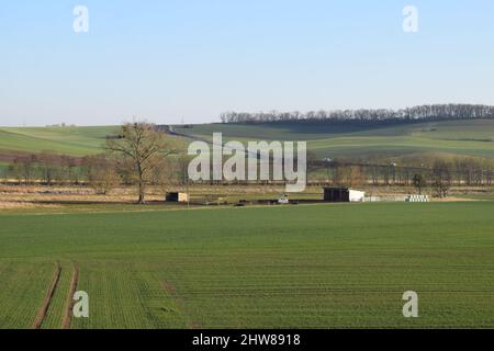 Thürer Wiesen Ende Februar 2022 Stockfoto