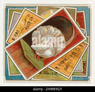 Art Inspired by Fantail Pigeon, from the Birds of America series (N37) for Allen & Ginter Cigarettes, 1888, Commercial color lithograph, Sheet: 2 7/8 x 3 1/4 in. (7,3 x 8,3 cm), Handelskarten aus der Serie „Birds of America“ (N37), die 1888 in einem Satz von 50 Karten zur Förderung von Allen herausgegeben wurde, klassische Werke, die von Artotop mit einem Schuss Modernität modernisiert wurden. Formen, Farbe und Wert, auffällige visuelle Wirkung auf Kunst. Emotionen durch Freiheit von Kunstwerken auf zeitgemäße Weise. Eine zeitlose Botschaft, die eine wild kreative neue Richtung verfolgt. Künstler, die sich dem digitalen Medium zuwenden und die Artotop NFT erschaffen Stockfoto