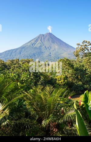 Gas und Wasserdampf steigen an einem wolkenlosen Tag am klaren, blauen Himmel vom Vulkan Arenal auf. La Fortuna, San Carlos, Provinz Alajuela, Costa Rica ... mehr Stockfoto