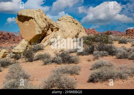 Valley of Fire, Nevada.  Geologische Kräfte; Stein zerbrechen.  Weißen Kuppeln Trail. Stockfoto