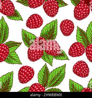 Niedliche nahtlose Hintergrund mit reifen Himbeeren und Blättern. Handgezeichnete Illustration Stock Vektor
