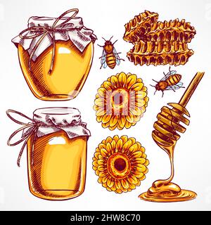 Honigset. Honiggläser, Bienen, Honigwaben. Handgezeichnete Illustration Stock Vektor
