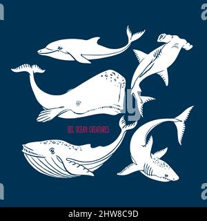 Set von großen Meereslebewesen. Handgezeichnete Illustration Stock Vektor