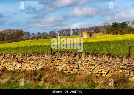Feldscheune in typischer Cotswolds-Landschaft bei Bredon Hill in der Nähe von Tewkesbury im englischen Gloucestershire Stockfoto