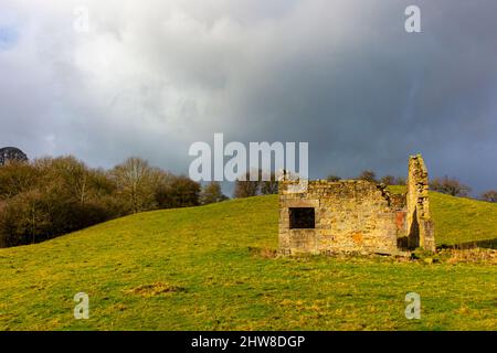 Ruinen einer Feldscheune in der typischen Peak District Landschaft bei Oaker in der Nähe von Matlock im Derbyshire Dales England Stockfoto