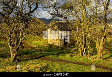 Feldscheune in typischer Peak District Landschaft bei Oaker in der Nähe von Matlock in der Derbyshire Dales England Stockfoto