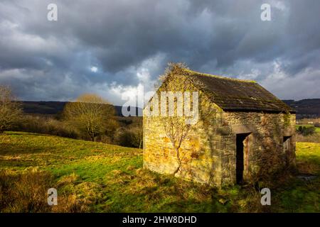 Feldscheune in typischer Peak District Landschaft bei Oaker in der Nähe von Matlock in der Derbyshire Dales England Stockfoto