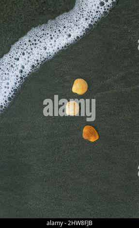 Die Muschel liegt auf dem Sand des Strandes, halb im Sand vergraben, als die Meereswelle auf ihn trifft, und die Meereswellen im Hintergrund. Stockfoto