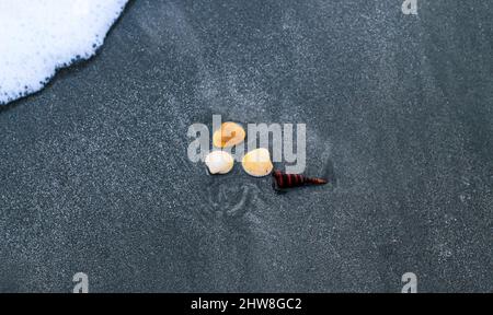 Die Muschel liegt auf dem Sand des Strandes, halb im Sand vergraben, als die Meereswelle auf ihn trifft, und die Meereswellen im Hintergrund. Stockfoto