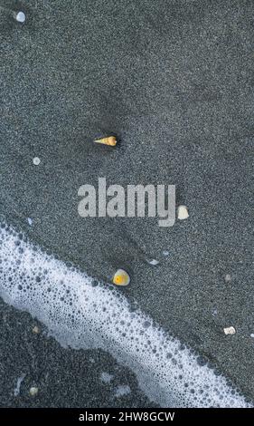 Die Muschel liegt auf dem Sand des Strandes, halb im Sand vergraben, als die Meereswelle auf ihn trifft, und die Meereswellen im Hintergrund. Stockfoto