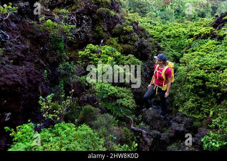 Frau, die auf einem schönen Waldweg im 'Misterios Negros' im Vulkangebiet der Insel Terceira, Açores Portugal, wandert Stockfoto