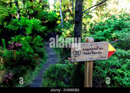 Wanderzeichen am schönen Waldweg in den 'Misterios Negros' im Vulkangebiet der Terceira Insel, Serra de Santa Babara, Açores Portugal Stockfoto