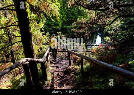 Frau, die auf einem schönen Waldweg im 'Misterios Negros' im Vulkangebiet der Insel Terceira, Açores Portugal, wandert Stockfoto