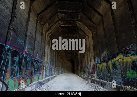 Donner Pass Gipfelzug Tunnel mit Graffiti bedeckt. Sierra Nevada, Kalifornien, USA. Stockfoto