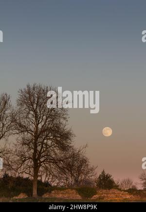 Ein sogenannter Wolf Moon über den zerstörten Mauern der römischen Stadt Calleva Atrebatum oder Silchester. Bei Sonnenuntergang. Stockfoto