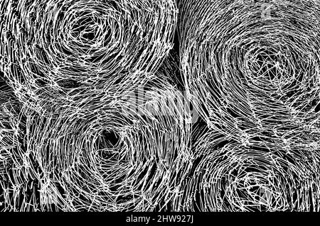 Abstrakte Kunst-digitale Kunst-Manipulationskunst Stockfoto