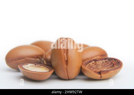 Argan-Samen auf weißem Hintergrund isoliert. Arganöl Nüsse mit Pflanze. Kosmetik und natürliche Öle Hintergrund. Hochwertige Fotos Stockfoto