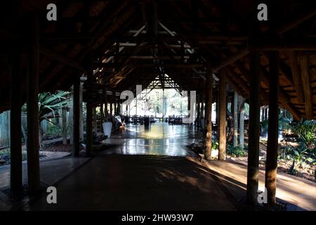 Blick unter den strohgedeckten Rondavels des Chobe Safari Lodge Hotels in Kasane, Botswana Stockfoto