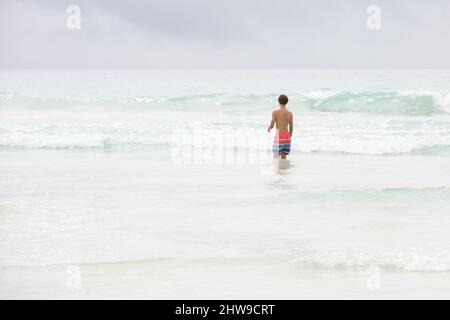 Teenager-Männchen waten im Ozean am weißen Sandstrand auf Isabela Island, Galapagos Islands Stockfoto