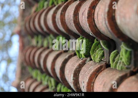 Vertikale Aufnahme des keramischen Dachs mit grünen Moosflecken bedeckt Stockfoto