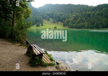 Eine malerische Aussicht auf eine Holzbanch am Alatsee und die grünen Bäume, die sich an einem schönen Augusttag in Bad Faulenbach (Bava Stockfoto