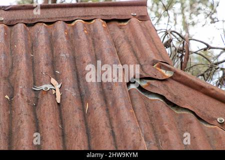 Foto eines alten braunen rostigen und beschädigten Dachs auf einer Entdecker-Hütte in den Blue Mountains in New South Wales in Australien Stockfoto